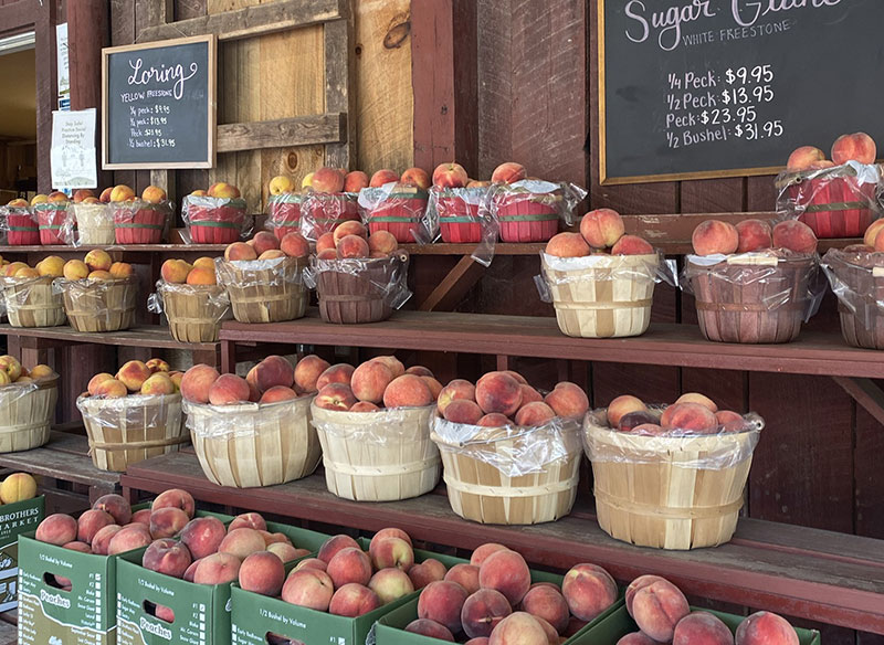 Saunders Brothers Orchard and Farm Market