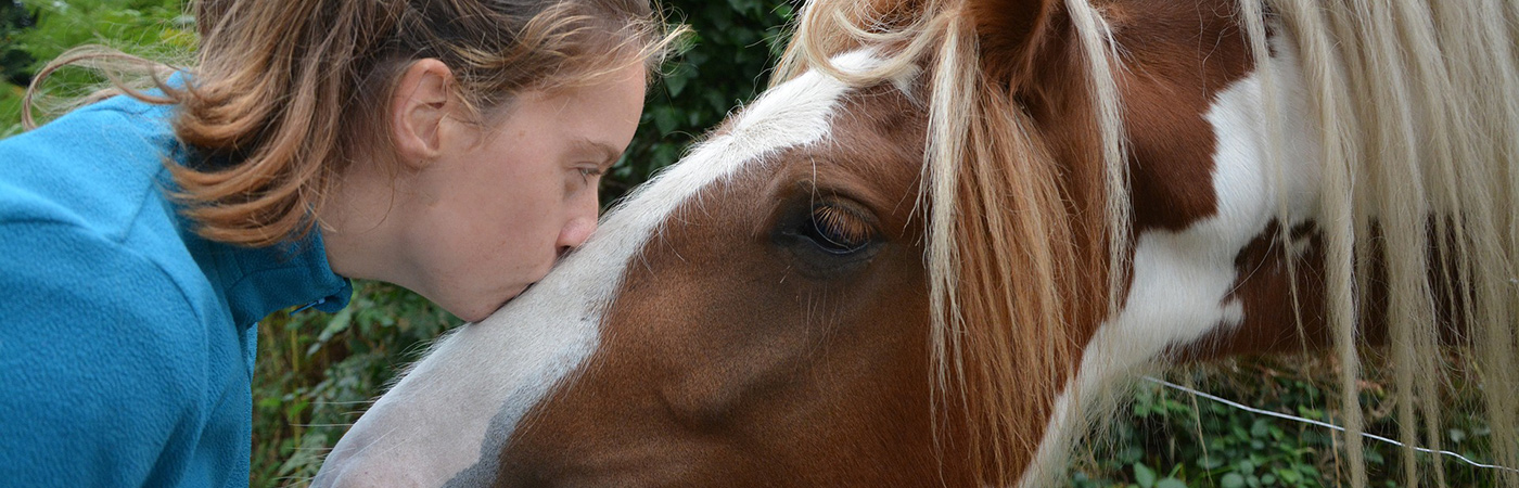 horse kiss
