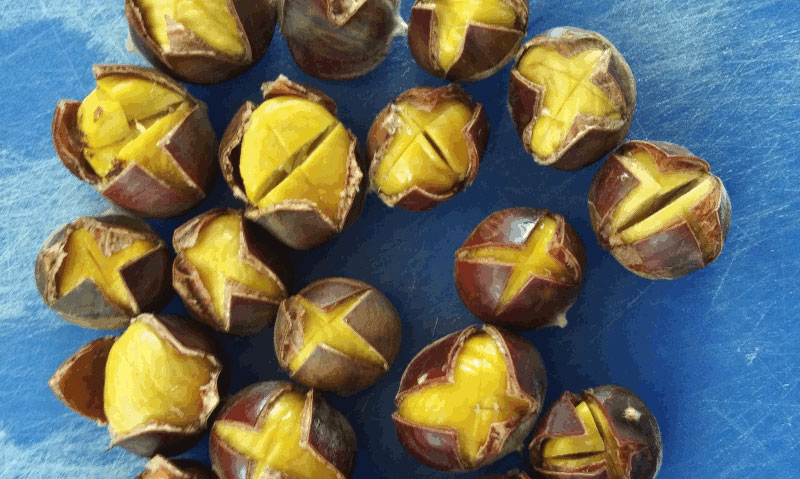 Tinkerland Farm chestnuts