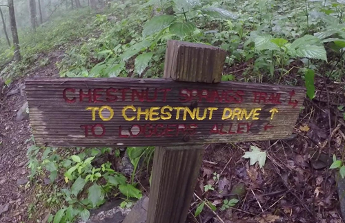 Chestnut Springs Trail