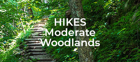Moderate Woodland Hikes